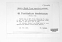 Image Associated With the Occurence